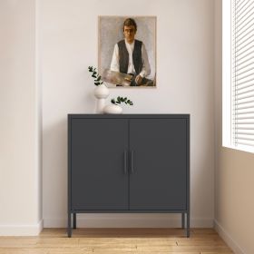 Metal Storage Cabinet With Doors And Adjustable Shelves, Steel Garage Storage Cabinet, Metal File Cabinet For Home Office School Gym, Black (Color: Black)