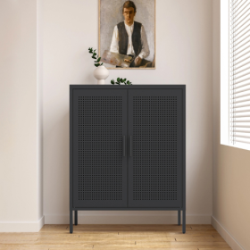 NO LOCK, Metal Storage Cabinet With 2 Doors And 2 Adjustable Shelves, Steel Storage Cabinet, Metal File Cabinet For Home Office School Gym, Black (Color: Black)