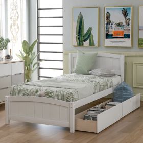 Twin size Platform Bed with Two Drawers (Color: White)