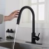 Touch Kitchen Faucet with Pull Down Sprayer RT