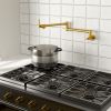 Double 360Â° Rotatable Joints Traditional Wall Mount Stove Swing Arm Folding Pot Filler Kitchen Faucet Double Handle with Spare Ceramic Valve