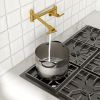 Double 360Â° Rotatable Joints Traditional Wall Mount Stove Swing Arm Folding Pot Filler Kitchen Faucet Double Handle with Spare Ceramic Valve